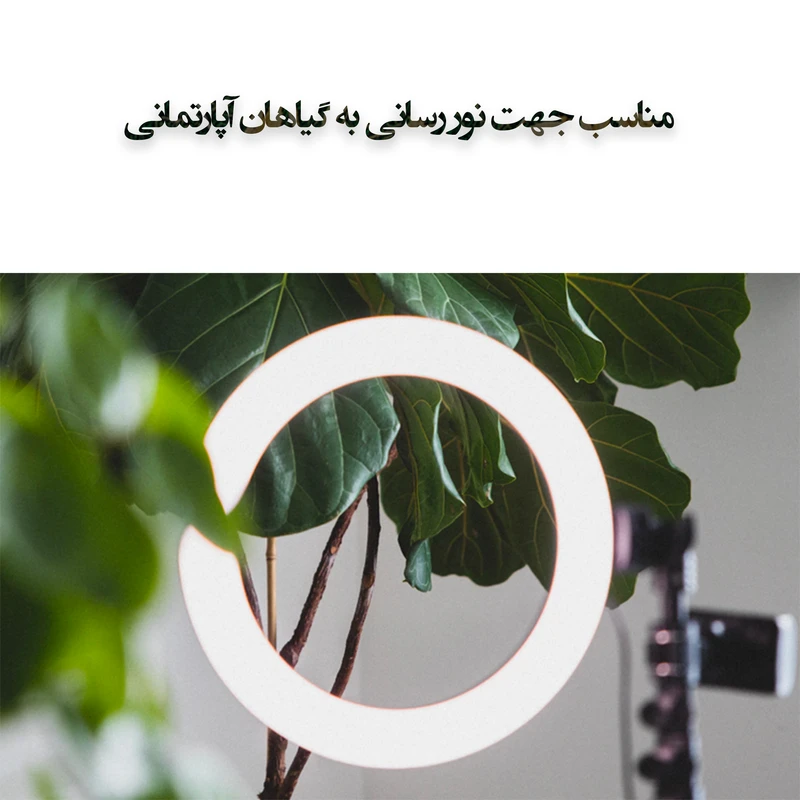 رینگ لایت مدل LJJ-30 RGB-30cm